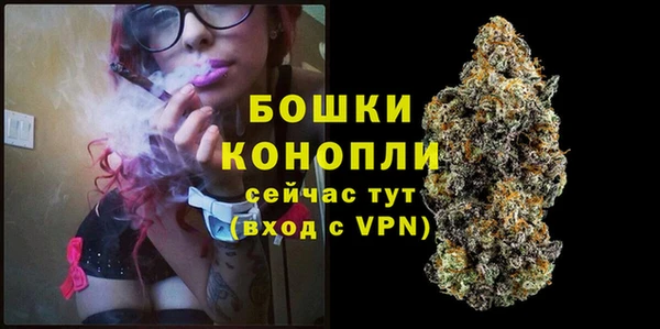spice Арсеньев